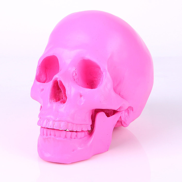 Tide creative decoration medical resin skull bone bar human skull model pink export foreign trade fine points