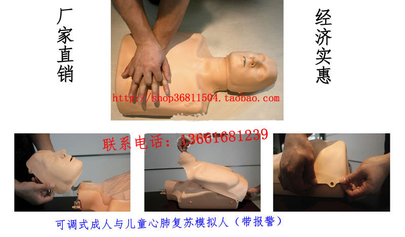 迷你型可调式半身心肺复苏模拟人半身复苏假人模型 CPR185+假人