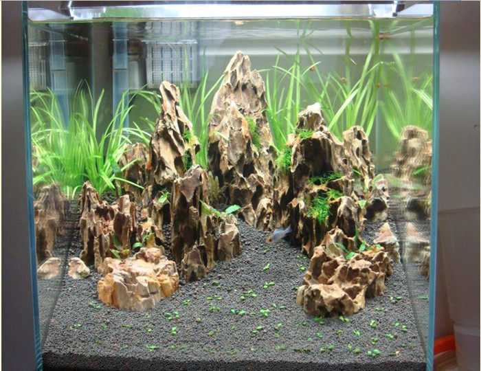 Pine - shaped stone Fish cylinder pine stone keel tiger stone aquarium scenic stone