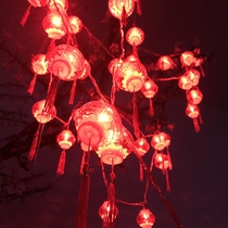 LED lights flash lights String lights Household New Year decorations Lantern lantern Small red lantern Chinese knot Spring Festival New Year celebration