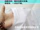 4 chiếc áo thun nam ngắn tay nửa tay nửa tuổi của trung niên áo vest trung niên Áo vest cotton