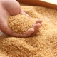 Millet shell Millet da số lượng lớn người lớn trẻ em gối trẻ em hạt vỏ vỏ trẻ em lõi Shibuya goi om Gối