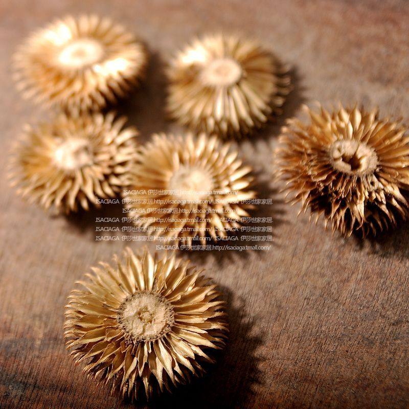 ��ɯ���Ұ�����˹ë��FZ005108