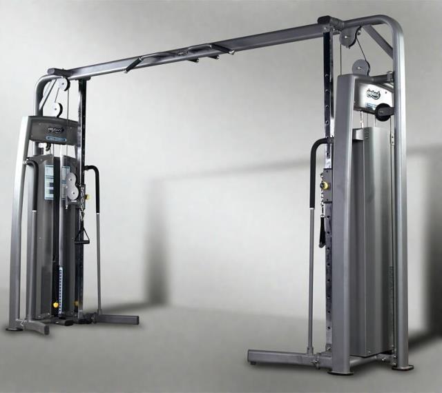 Three Fly TH9915 Series Big Flying Bird Trainer Fitness Room Fly Bird Training Machine Fitness Equipment