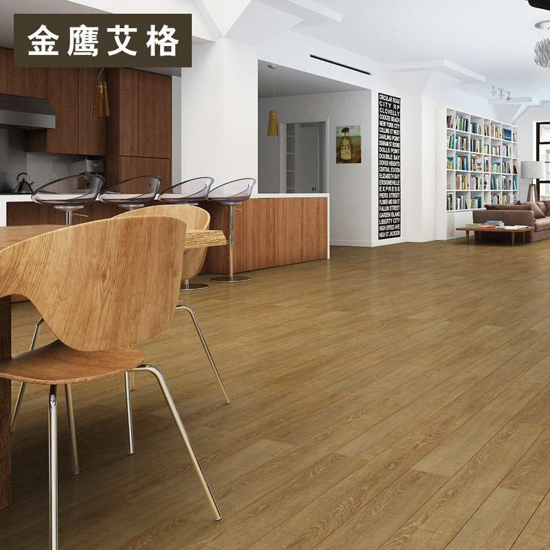 ��ӥ����ǿ�����ϵذ�1601