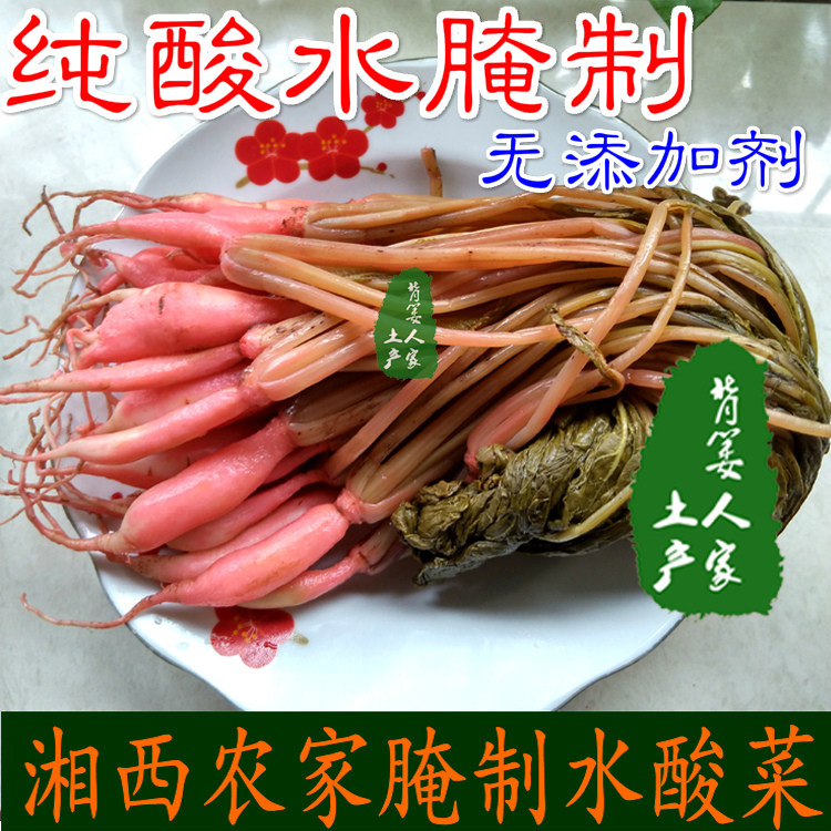 Radish head Old altar water pickled pickled pickled pickled Pickled Pickled Pickled Pickled Pickled Pickled Pickled Pickled Pickled Pickled Pickled Pickled Pickled Pickled Pickled Pickled Pickled pickled pickled