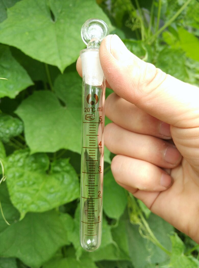 玻璃具塞刻度试管5ml玻璃试管具塞试管实验室玻璃试管