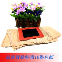 Shuvia contact with full body physiotherapy paste with warm up shoulder neck waist knee wet and cold pain linen plaster 10 warm paste