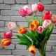 Trang trí nội thất nhà màu mè Mô phỏng Tulip Hoa giả Trang trí hoa Bàn ăn Bàn trà Vị trí tiệc cưới Hoa Lễ kỷ niệm Trang trí nhẹ nhàng - Vòng đeo tay Cuff