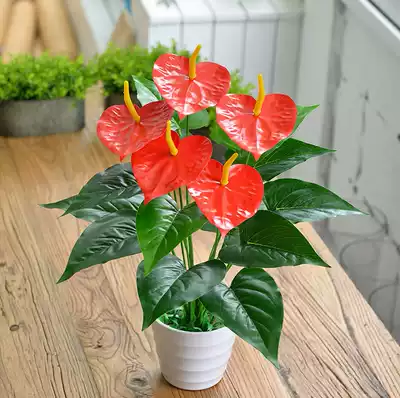 Special offer Simulation flamingo flower small bonsai with pots Simulation plant potted fake flower decoration flower bed decoration
