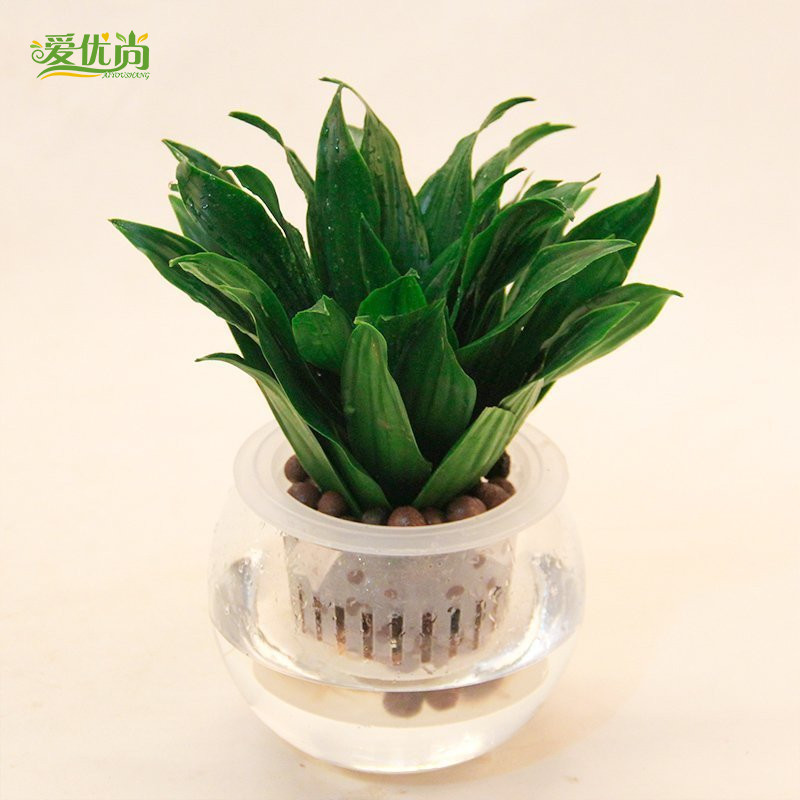 ������ˮ��̫����С����