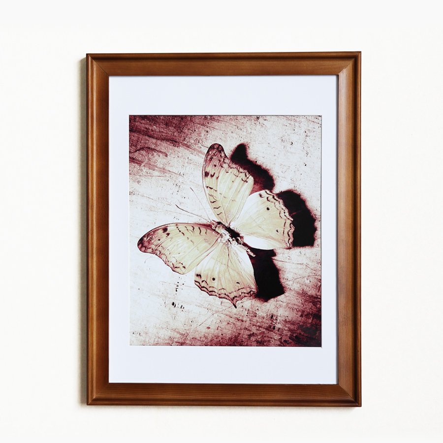 ��˹�ž�ʵľ���ms0302