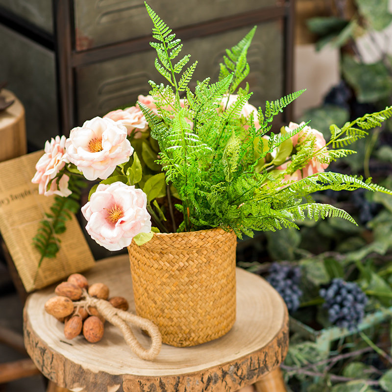 ���뻨����԰�ٱ໨�����滨BZ013