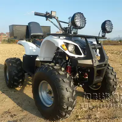 Flash 125cc differential shaft drive 8 inch vacuum tire small bull ATV four-wheel off-road locomotive