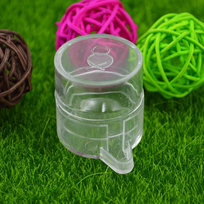 Shiwang Ant-House Favourite Supplies Ants Feeder Insect insect Taker Cute Q Version Large Penguin Profile