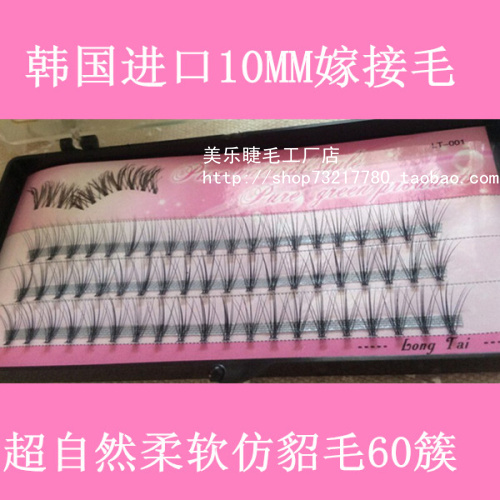 South Korea imported single cluster segmented grafting imitation mink fur false eyelashes natural nude makeup soft grafting hair 10mm