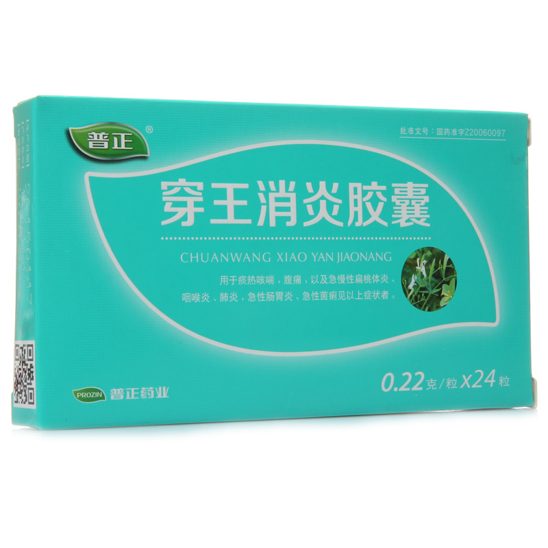 普正 穿王消炎胶囊 0.22g*24粒/盒