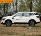 Renault Koleo sửa đổi đặc biệt trang trí dán xe cơ thể dán xe thắt lưng dây chuyền trang sức cửa kéo dải màu hoa - Truy cập ô tô bên ngoài