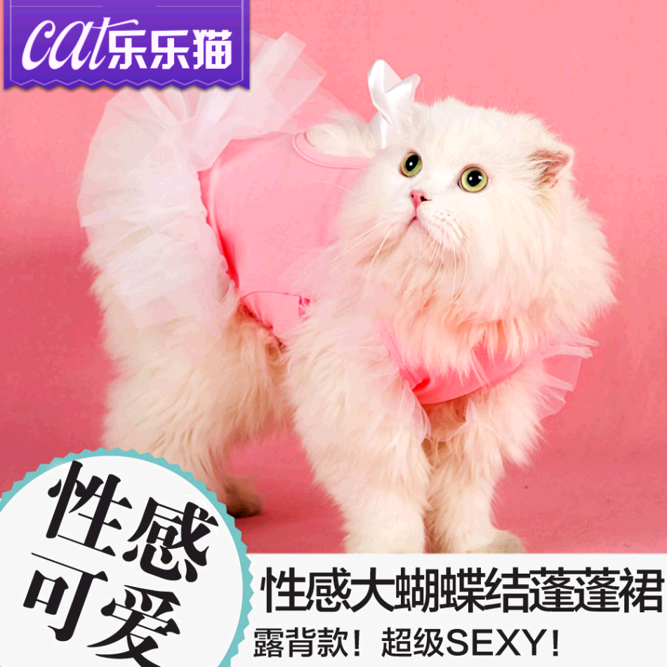 性感可爱宠物棉衣纱裙 小猫裙子猫咪裙子 宠物衣服 猫衣服秋冬装