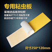 30 pieces of fly-extinguishing lamp special sticky paper sticky fly paper sticky fly paper sticky fly mosquito cardboard Sticky fly-killing paper insect board