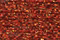 Rainbow Galley--PB44-Autumn Red Petite Treasure Braid