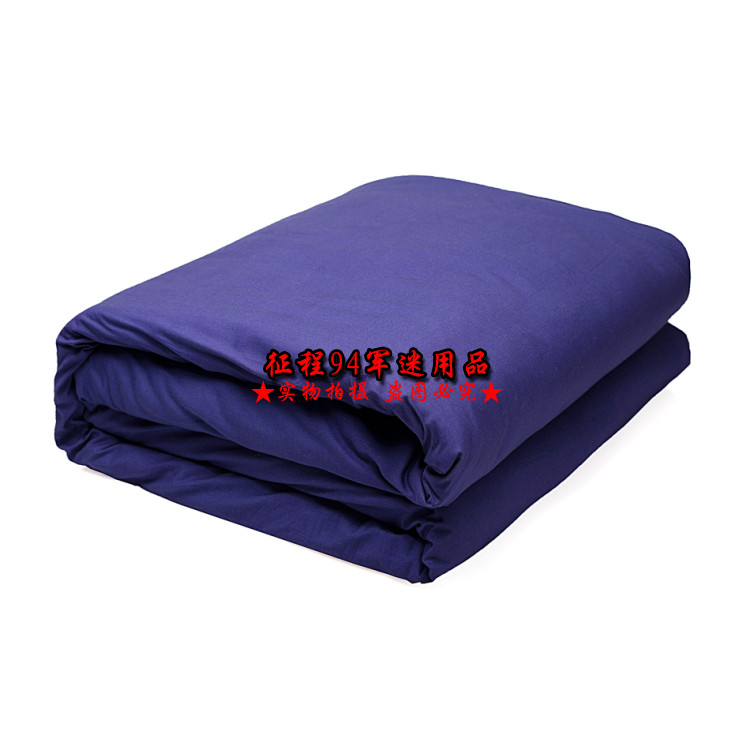 New blue quilt hot melt cotton quilt single student dormitory to keep warm in winter