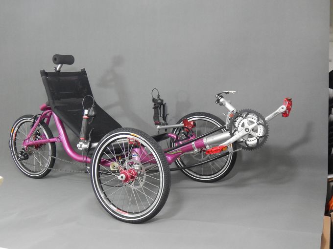 Snow leopard three-wheeled lying car with a red color red color