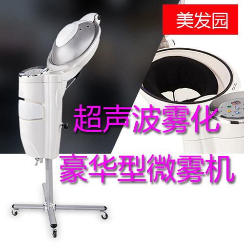 LED Light Micro Fog Machine Hair Salon Home Ozone Hair Steam Machine Hair Conditioner Hair Conditioner 2858A Special Offer