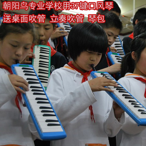 37 Keykoran Organ students student's harmonic organ beginning with blowing tube classroom teaching playing instrument