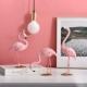 Quà tặng sáng tạo Bắc Âu máy tính để bàn màu hồng flamingo nhựa dễ thương đồ trang trí động vật phòng khách trang trí trang trí thiết kế tiệm nail Trang trí nội thất