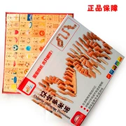 100 ký tự Trung Quốc Dominoes Bé biết chữ Hán Việt Giáo dục sớm khối gỗ Đồ chơi giáo dục cho trẻ em