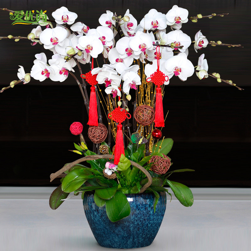 �������辰����00083