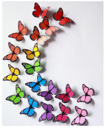 Amour Wedding��ͯ���Ҿ�ǽ��6666666655