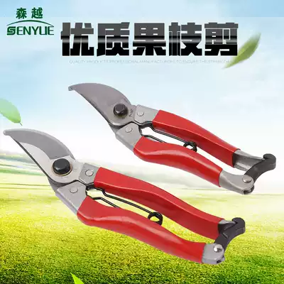 (Hot selling) Taiwan high-quality fruit branch scissors horticultural scissors pruning shears