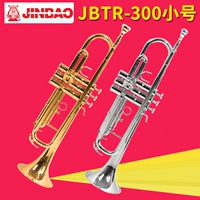 Jinbao nhỏ JBTR-300 học vàng và bạc để chơi bài kiểm tra thả nhạc cụ kèn B - Nhạc cụ phương Tây đàn mini