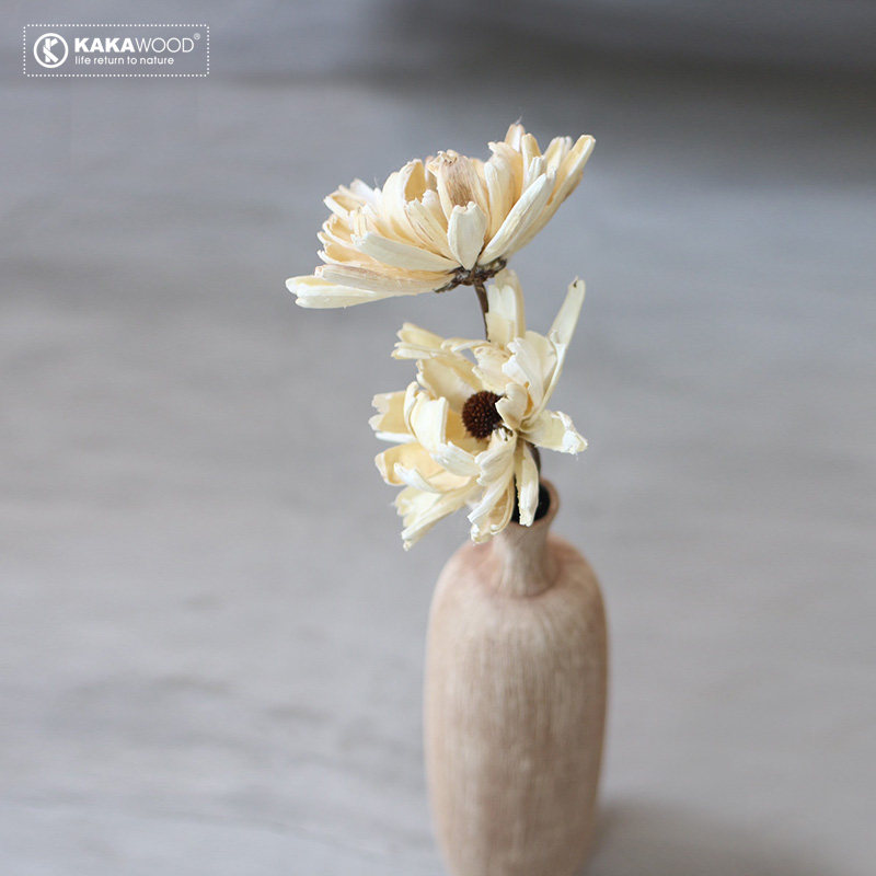 kkw�Ҿ�װ�� ��Ȼ ֲ��ɻ�