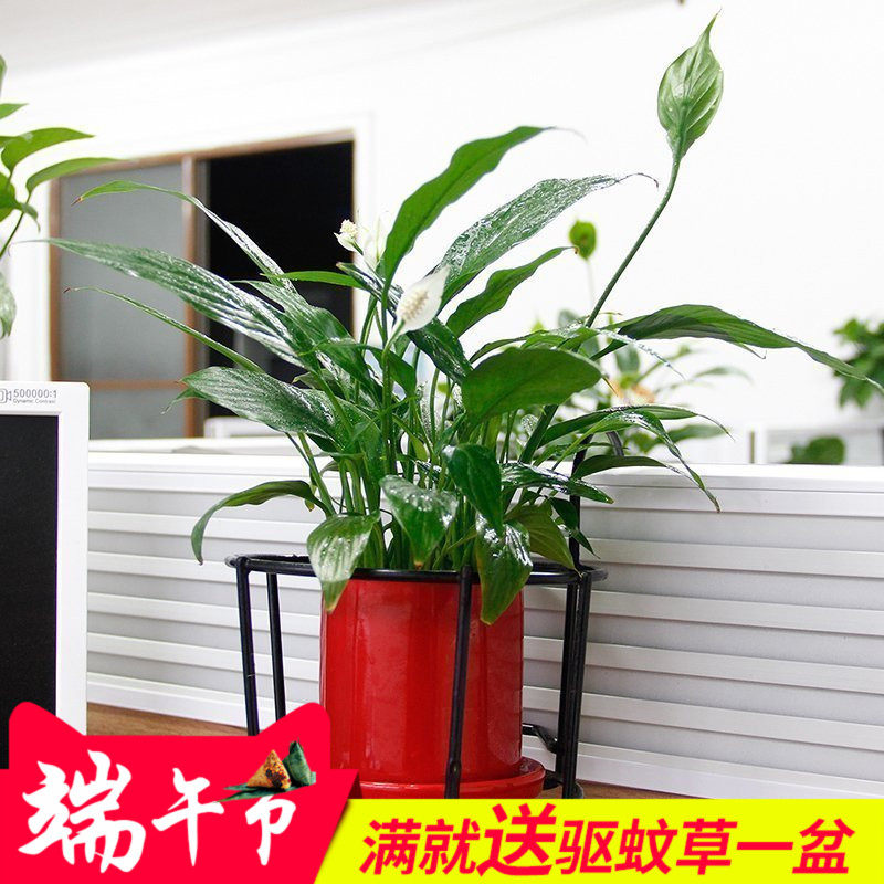 ���������������