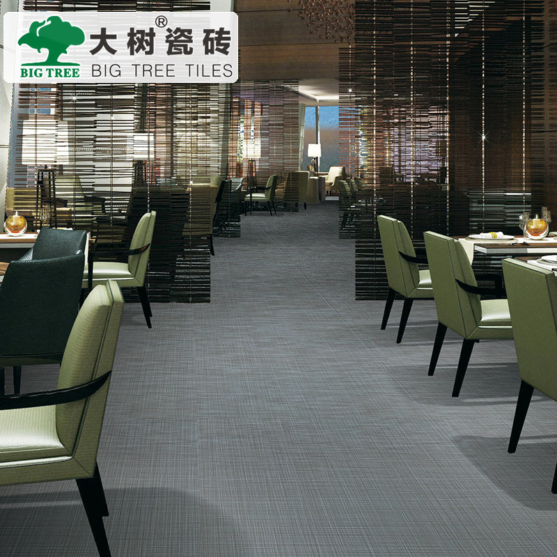 ������ʽ��שIB6001