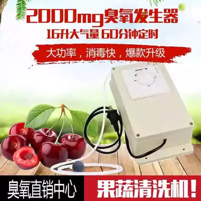 2000mg ozone generator(220v 16 liters of air output) 60 minutes timing