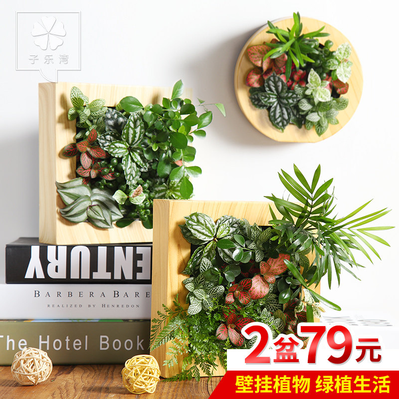 ����������������