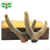 万河 Рога оленя, рога горного оленя Чанбайшань, обрезанные, первая стерня и две полоски, рога 15 юаней/г, одиночные 100-150 г