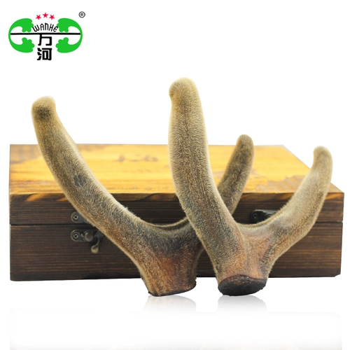 万河 Олень рога Чанбай Маунтин Бархатные ветви, голова, два бар попадают в 15 юань/грамм сингл 100-150G