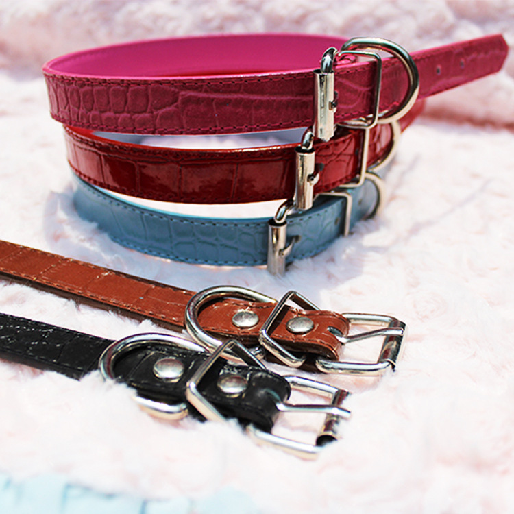 Pet Dog Collar Collar Fashion Multicolor Collar Golden Retriever Husky Labrador Medium and Large Dog Collar