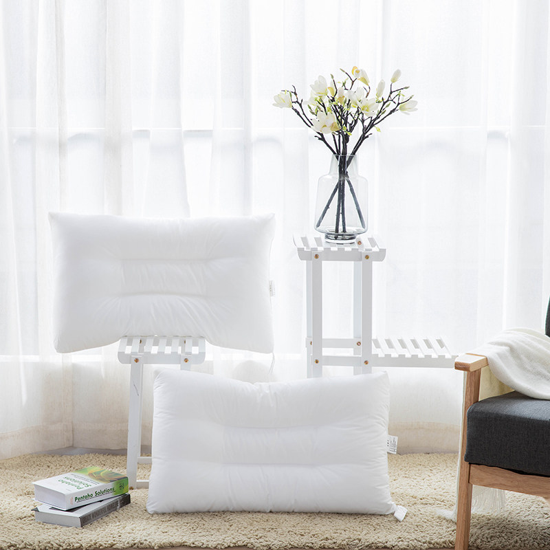 �������Ǽ��Ƶ���˿����ZT02