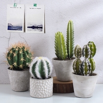 Simulation green plant fleshy small potted ceramic plant cactus bonsai living room TV cabinet room decorations ornaments