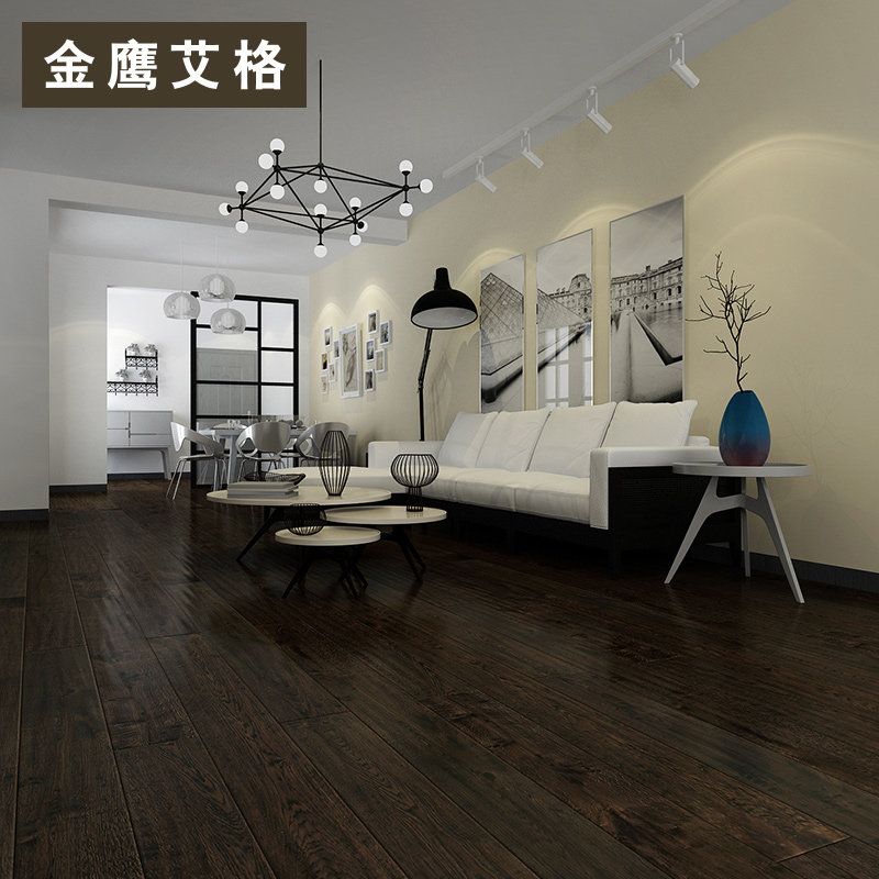 ��ӥ����ʵľ���ϵذ�ds004