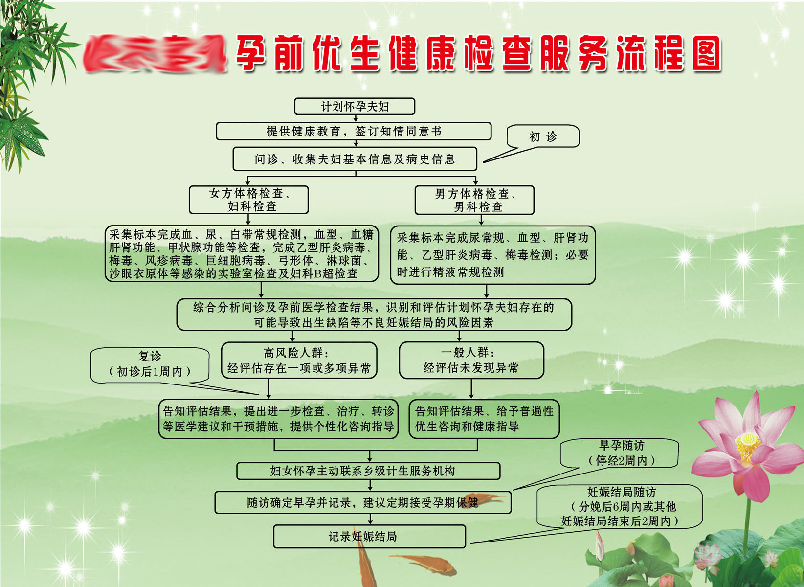 608办公装饰海报展板素材350孕前优生检查健康服务流程