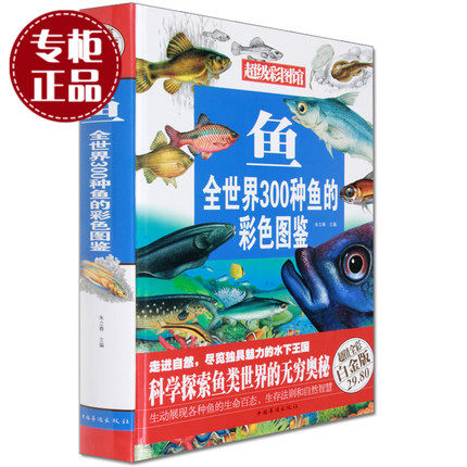 鱼(全世界300种鱼的彩色图鉴超值全彩白金版)(精)/超级彩图馆 百科全书 硬盒精装版 华侨出版社 教你认识各种鱼 鱼知识全集正版书
