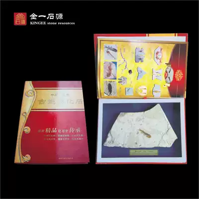 Liaoxi natural paleontological fossil wolffin fish fossil original stone single fish specimen sightseeing stone special gift box