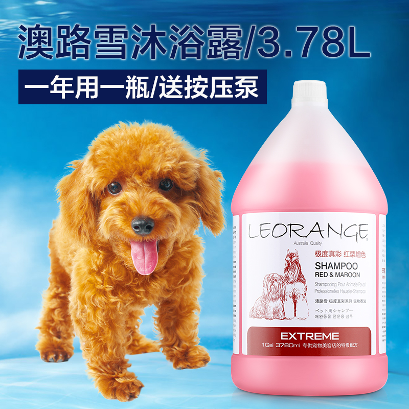 澳路雪宠物狗香波红棕杀菌大桶3780ml泰迪可卡狗狗沐浴露用品洗澡